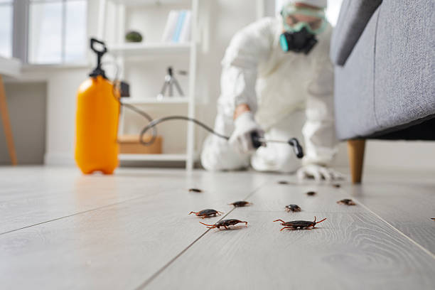 Trusted Mosquito Control service in Paintsville, KY - Nex Pest Control