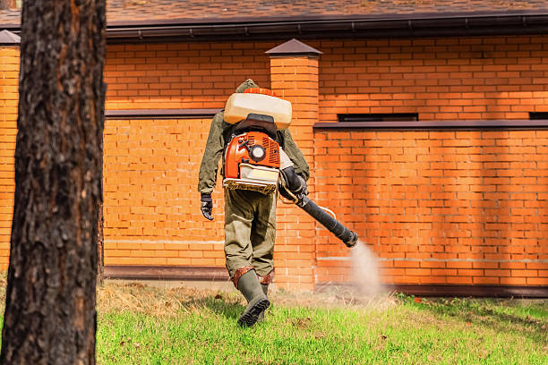 Trusted Emergency Pest Control service in Paintsville, KY - Nex Pest Control